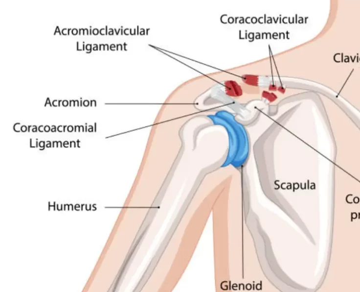 ac-joint-reconstruction