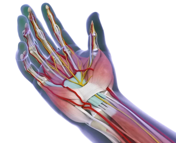 carpal-tunnel-release
