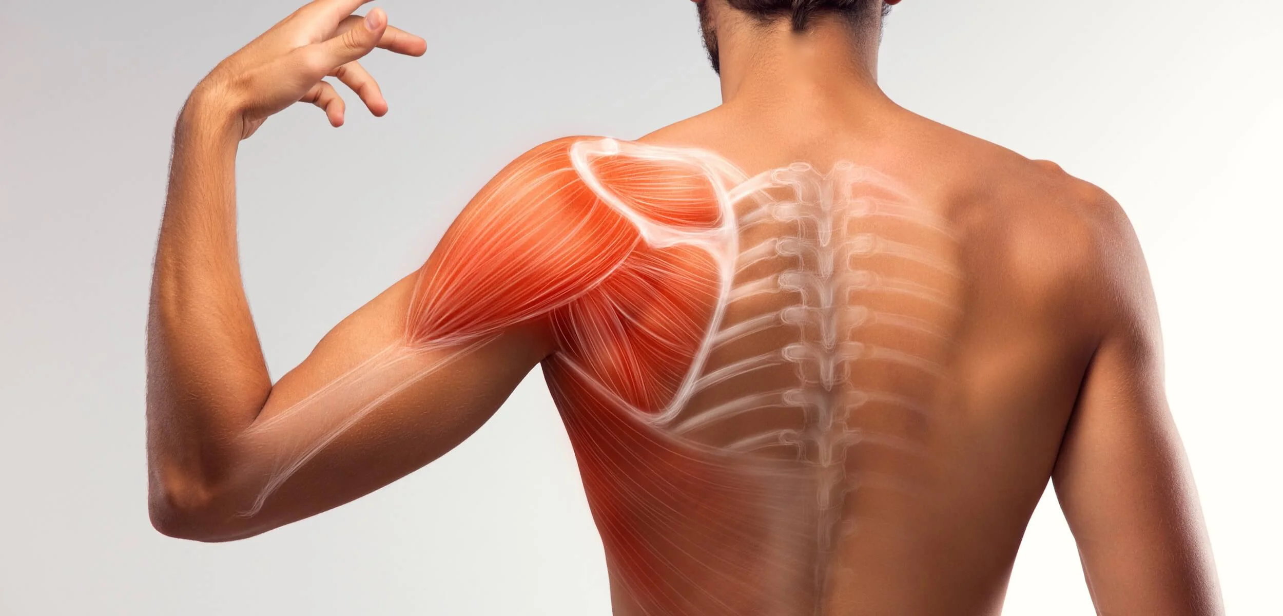 Shoulder Specialist in Chennai